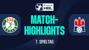 HSG Wetzlar vs. HSV Hamburg - Game Highlights